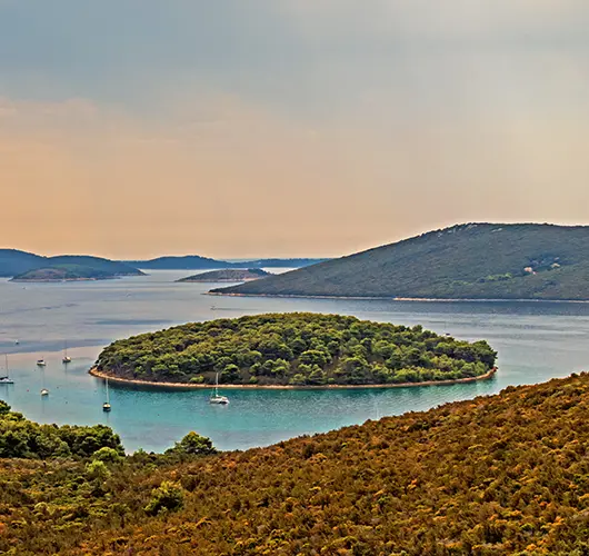 Molat