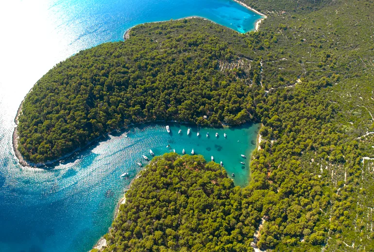 Aerial of a winding pine-forested bay with sailboats moored in a line