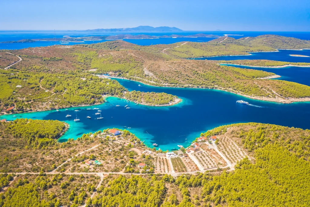 Aerial of pine-fringed inlets with anchored yachts and olive groves