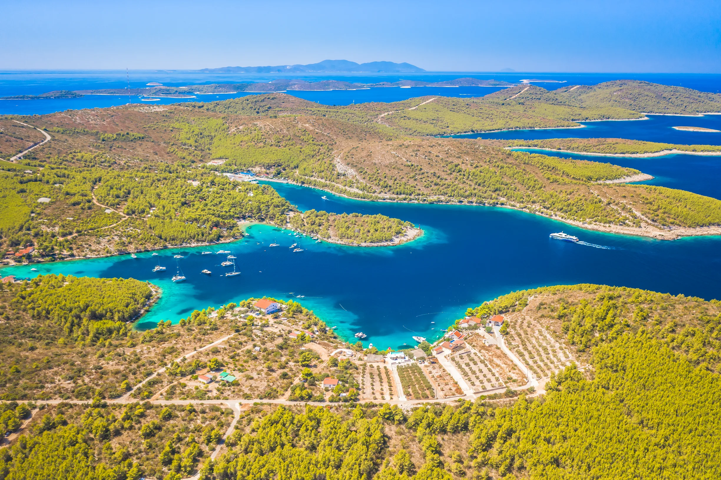 Aerial of pine-fringed inlets with anchored yachts and olive groves