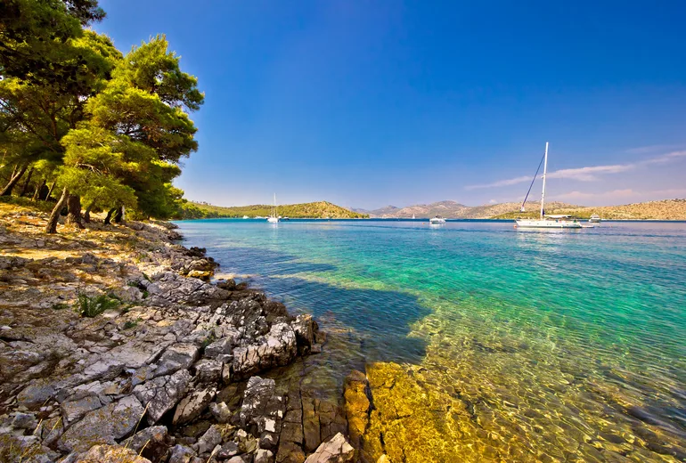 Pine-shaded rocky shore with sailboats anchored in a calm turquoise bay