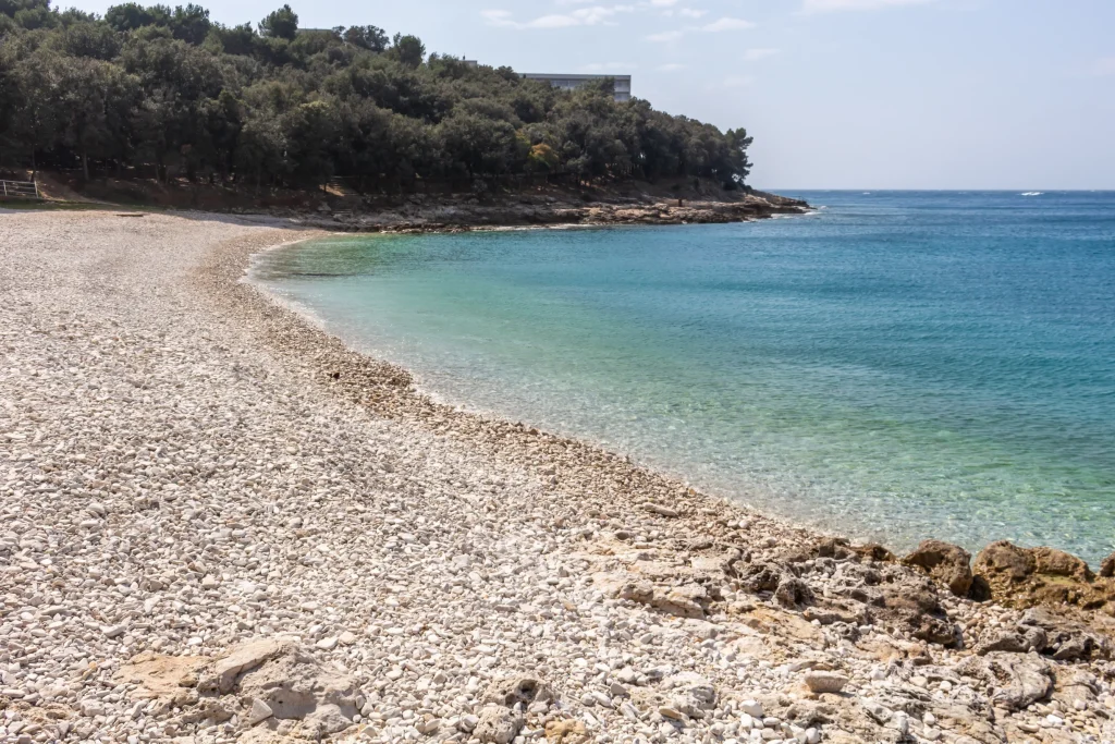 Empty white pebble beach backed by pines with clear turquoise water